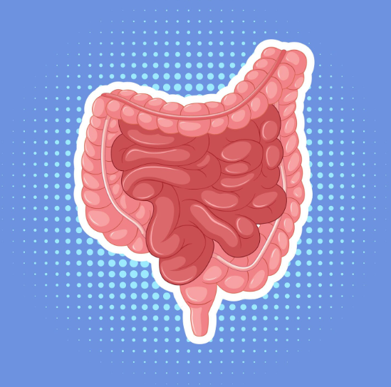 Что такое Холестирамин